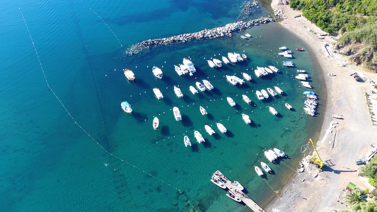 Camping Lacona Capoliveri  Exteriör bild